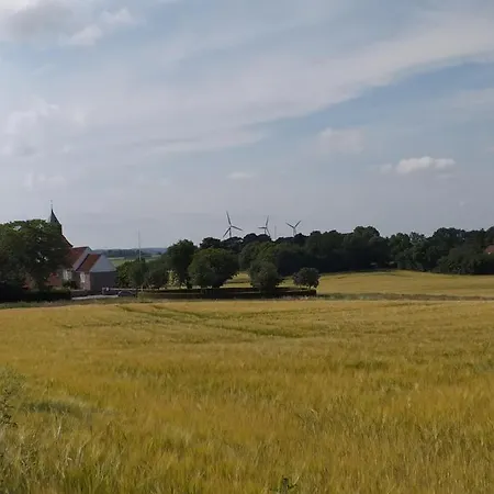 Skov * Solbjerg