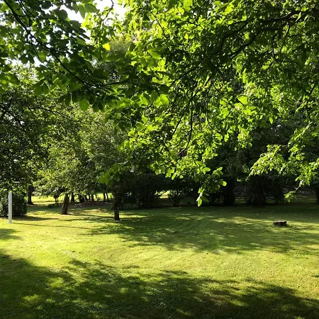 Skov Solbjerg