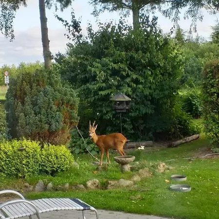 Skov Bed & Breakfast Solbjerg