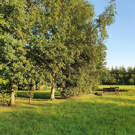Skov *