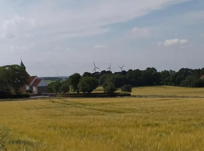 Skov * Solbjerg