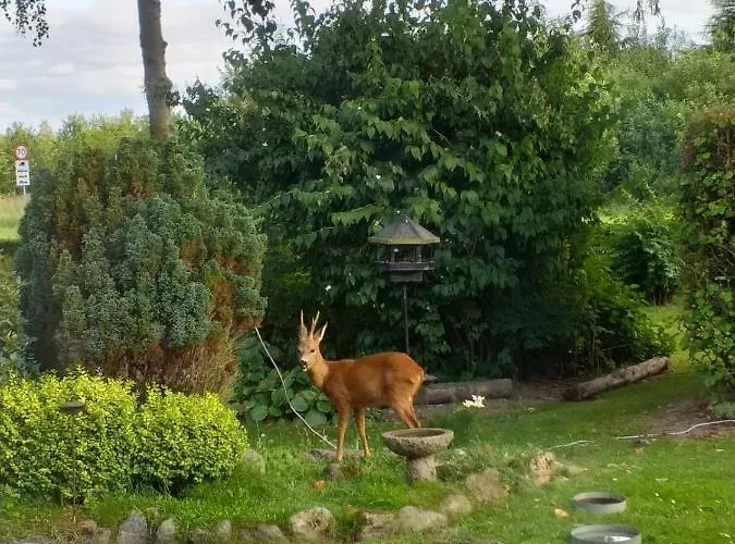 Skov Couette-café Solbjerg